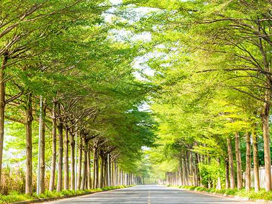 浙江省宁海县人民教育基金会被评为5A级社会组织