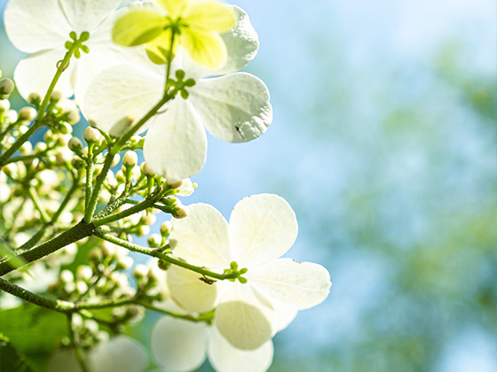爱心助学，嘉宁暖人心