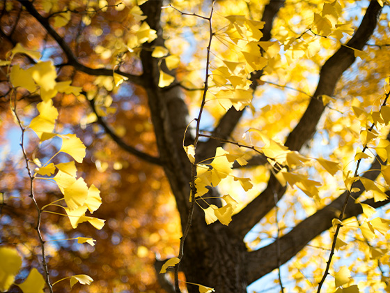 宁海外商投资企业协会一行爱心助力前童小学贫困学子