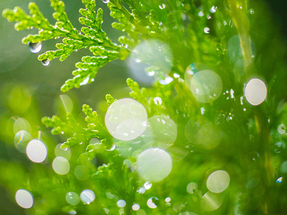 关于做好宁海县2019学年度中小学助学工作的通知