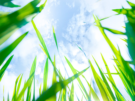 关于做好第十届“王家扬奖教奖学基金”获奖人员评选工作的通知 ...