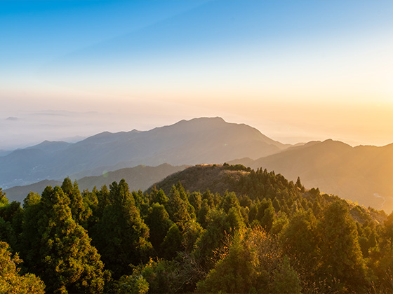 关于向荣获2020学年度县级及以上 荣誉称号人员颁发奖金的通知