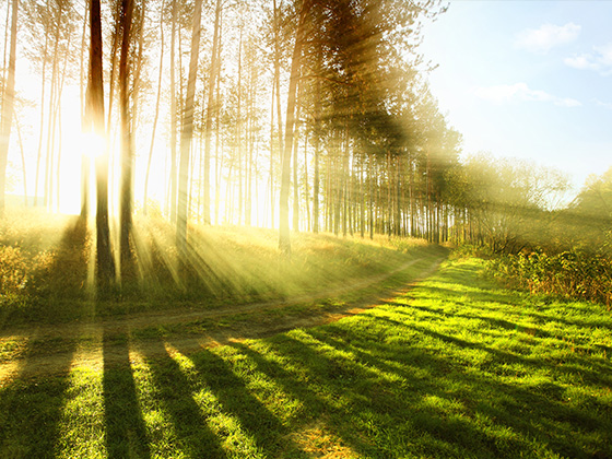 关于公布第十二届王家扬奖教奖学基金 获奖人员名单的通知