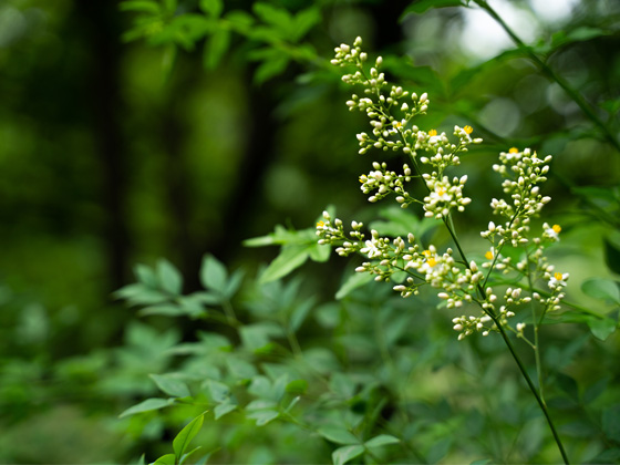 关于下达 2024学年度专项助学金的通知