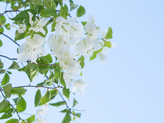 关于公布2023学年度县级优秀教师的通知