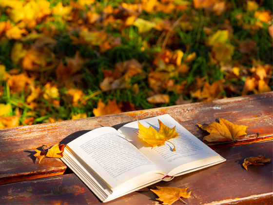 关于向荣获2024学年度县级及以上荣誉称号人员颁发奖金的通知