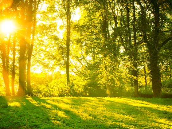 关于向荣获2018学年度县级及以上 荣誉称号人员颁发奖金的通知