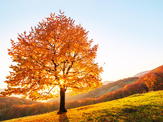 浙江省财政厅 国家税务总局浙江省税务局浙江省民政厅关于2021-2023年度公益性社会组织捐赠税前扣除资格名单的公告