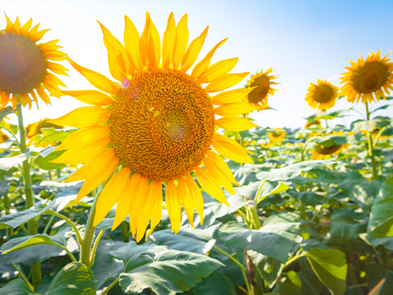 宁海县寒窗基金助学申请表